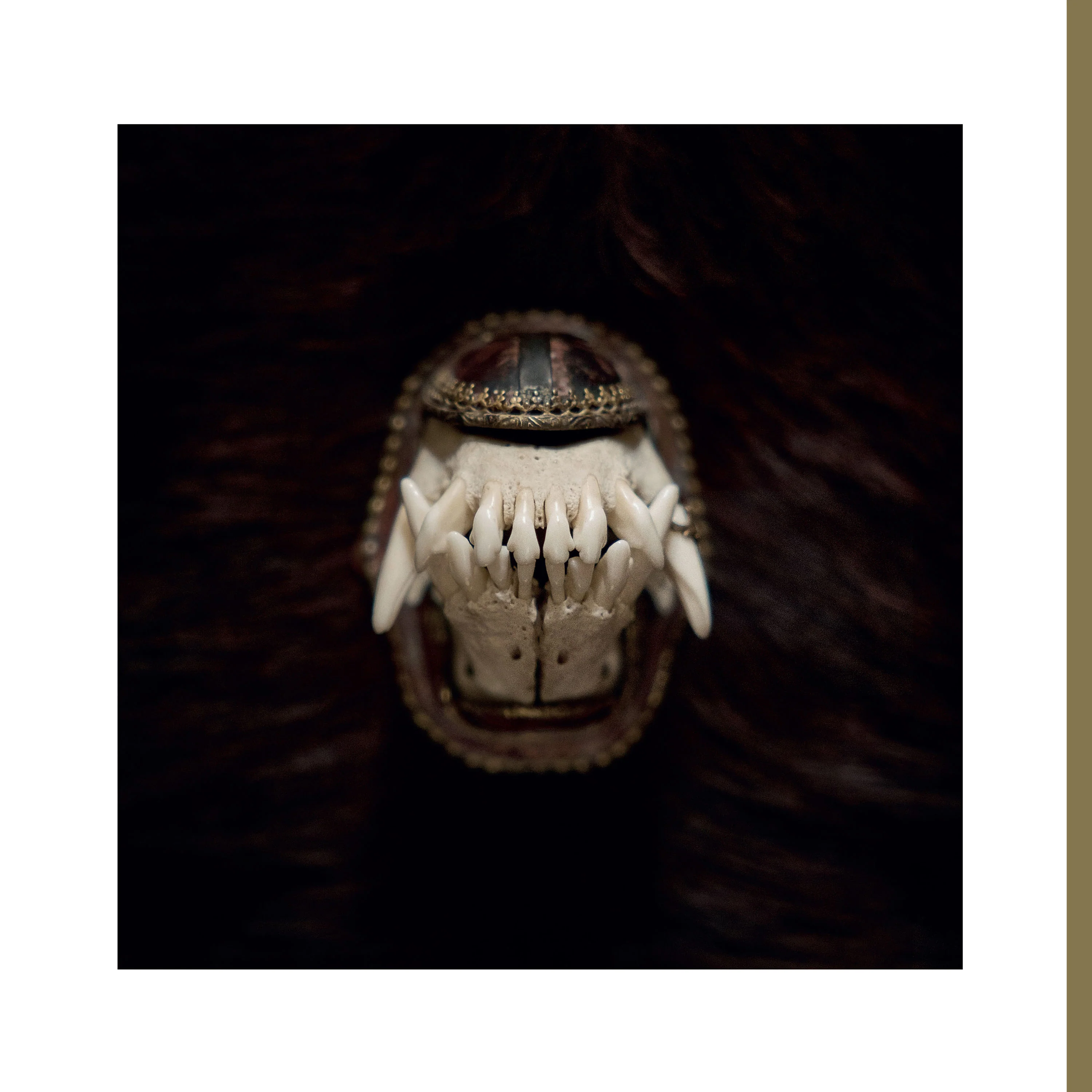 Amenra "De Toorn" 12" - Image 2