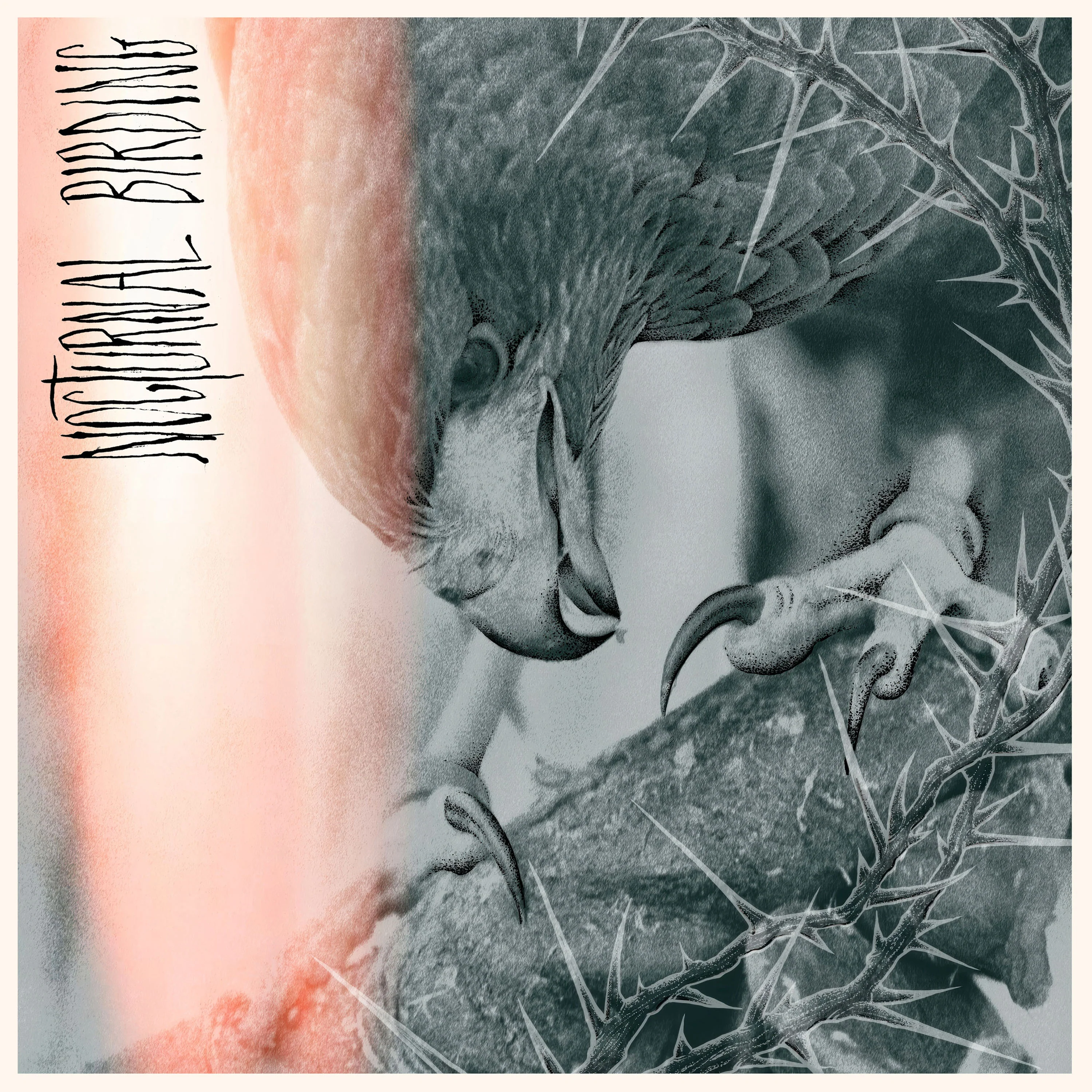 Author & Punisher "Nocturnal Birding" 12" - Image 3