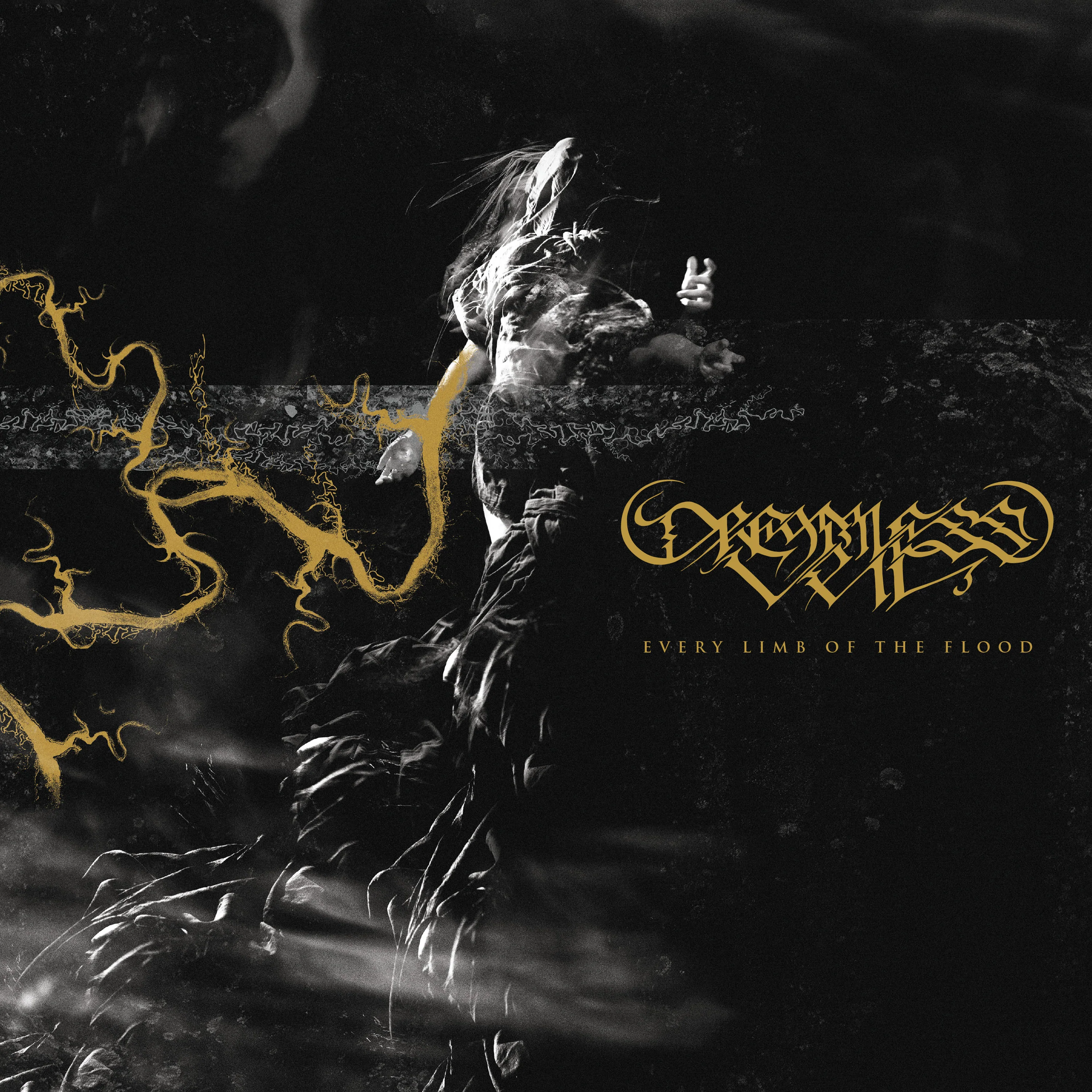 Dreamless Veil "Every Limb of the Flood" 12" - Image 2