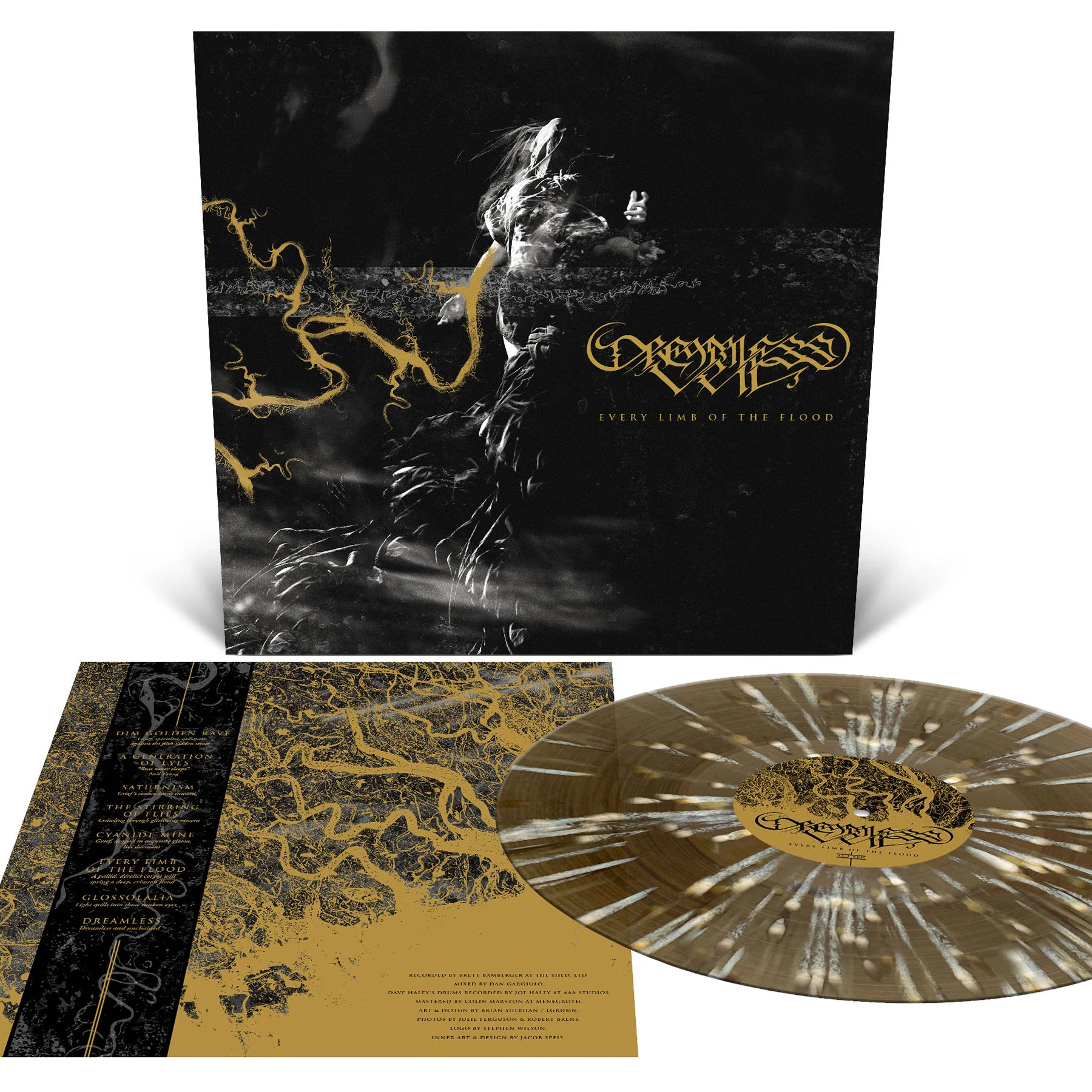 Dreamless Veil "Every Limb of the Flood" 12" - Image 3