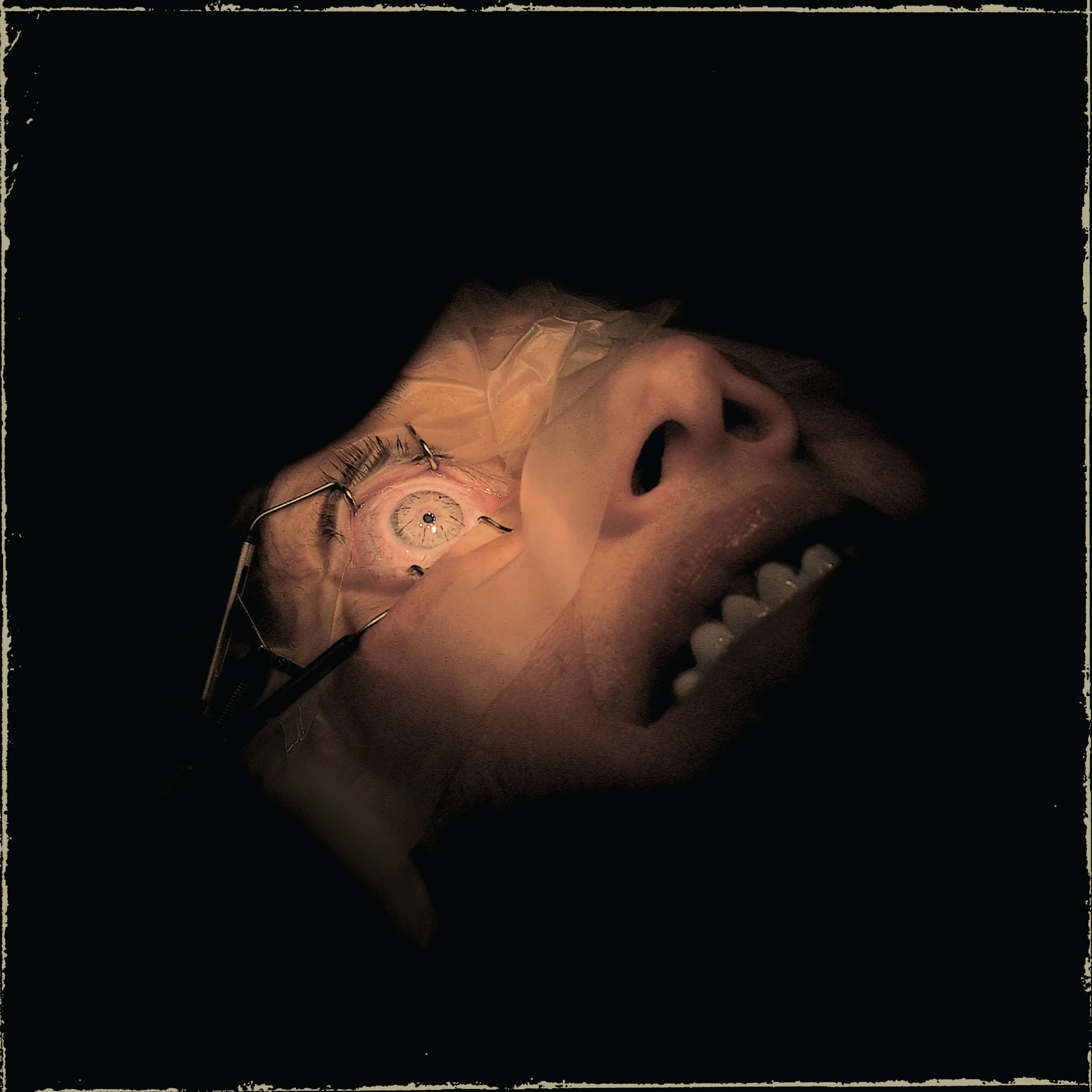 Exhumed "Anatomy Is Destiny" 12" - Image 2