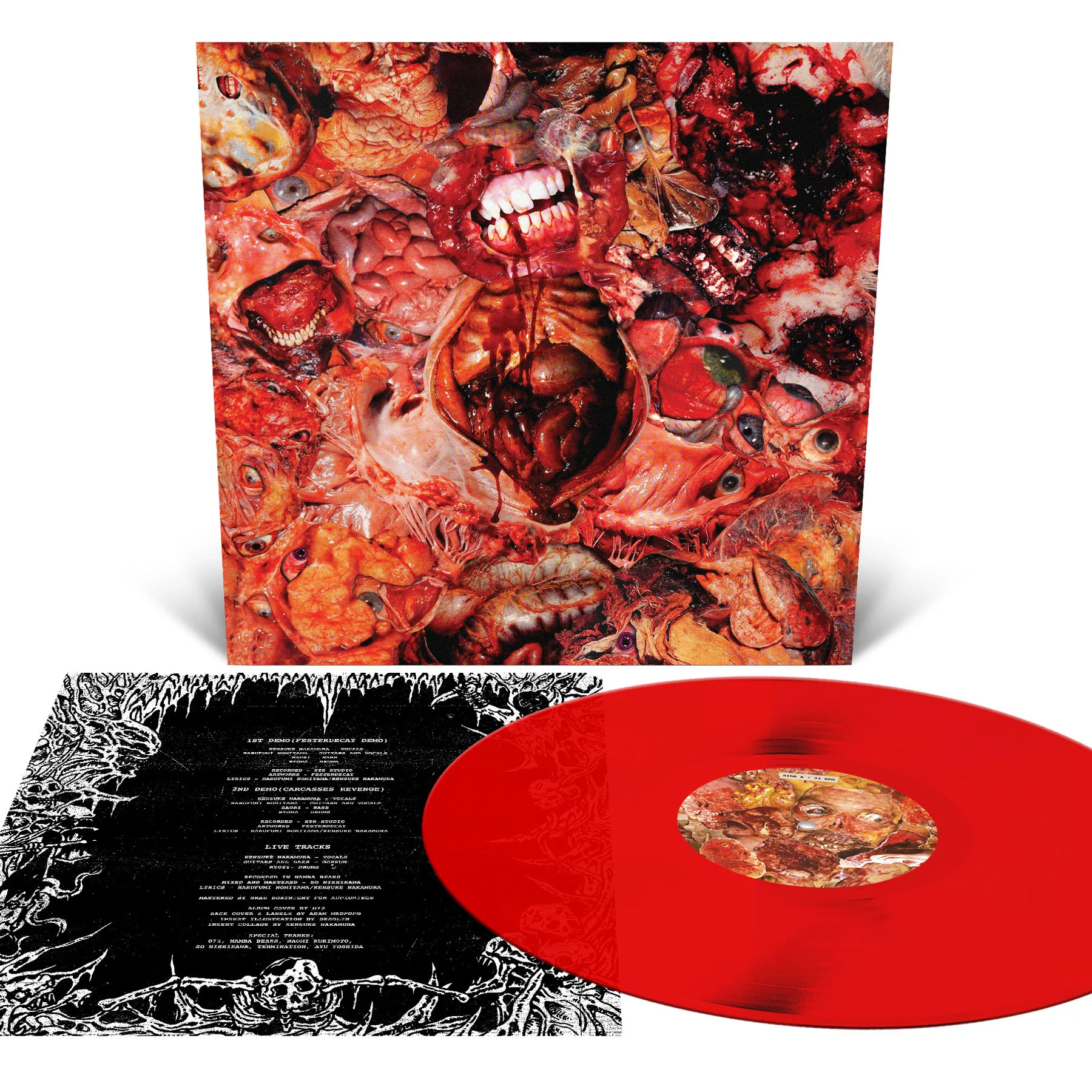 FesterDecay "From Demo To Rot" 12" - Image 3