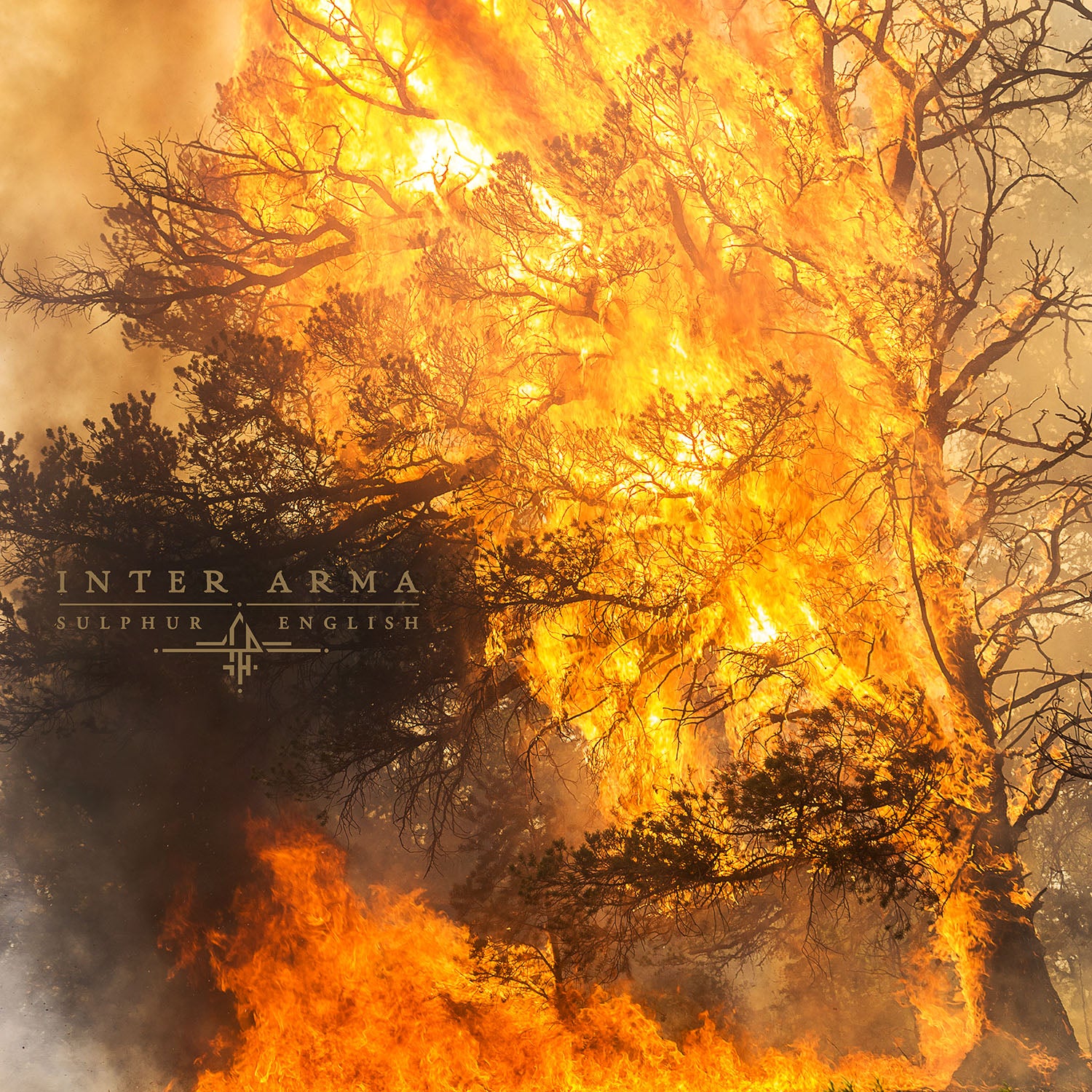 Inter Arma "Sulphur English" 2x12" - Image 2
