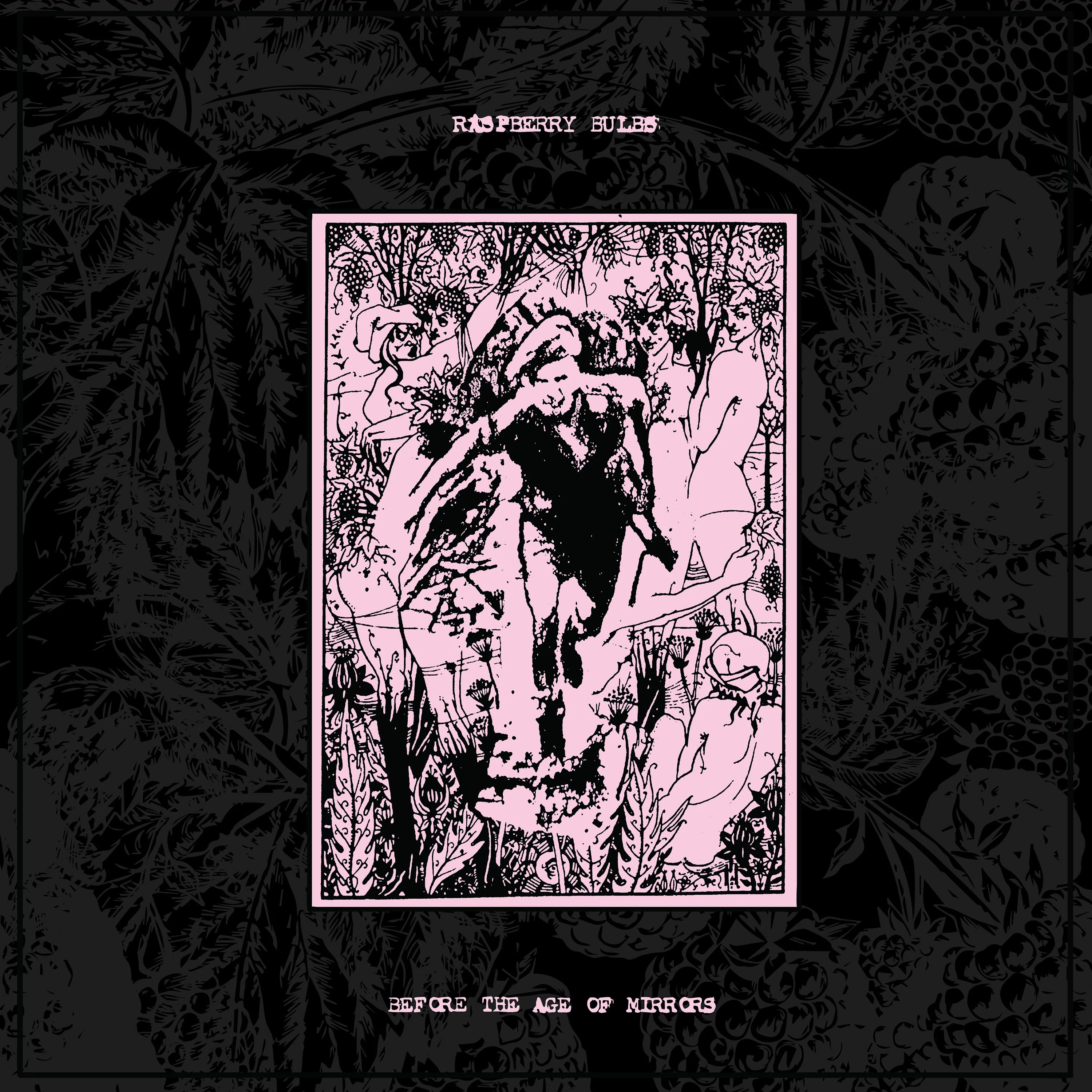 Raspberry Bulbs "Before The Age Of Mirrors" CD - Image 2