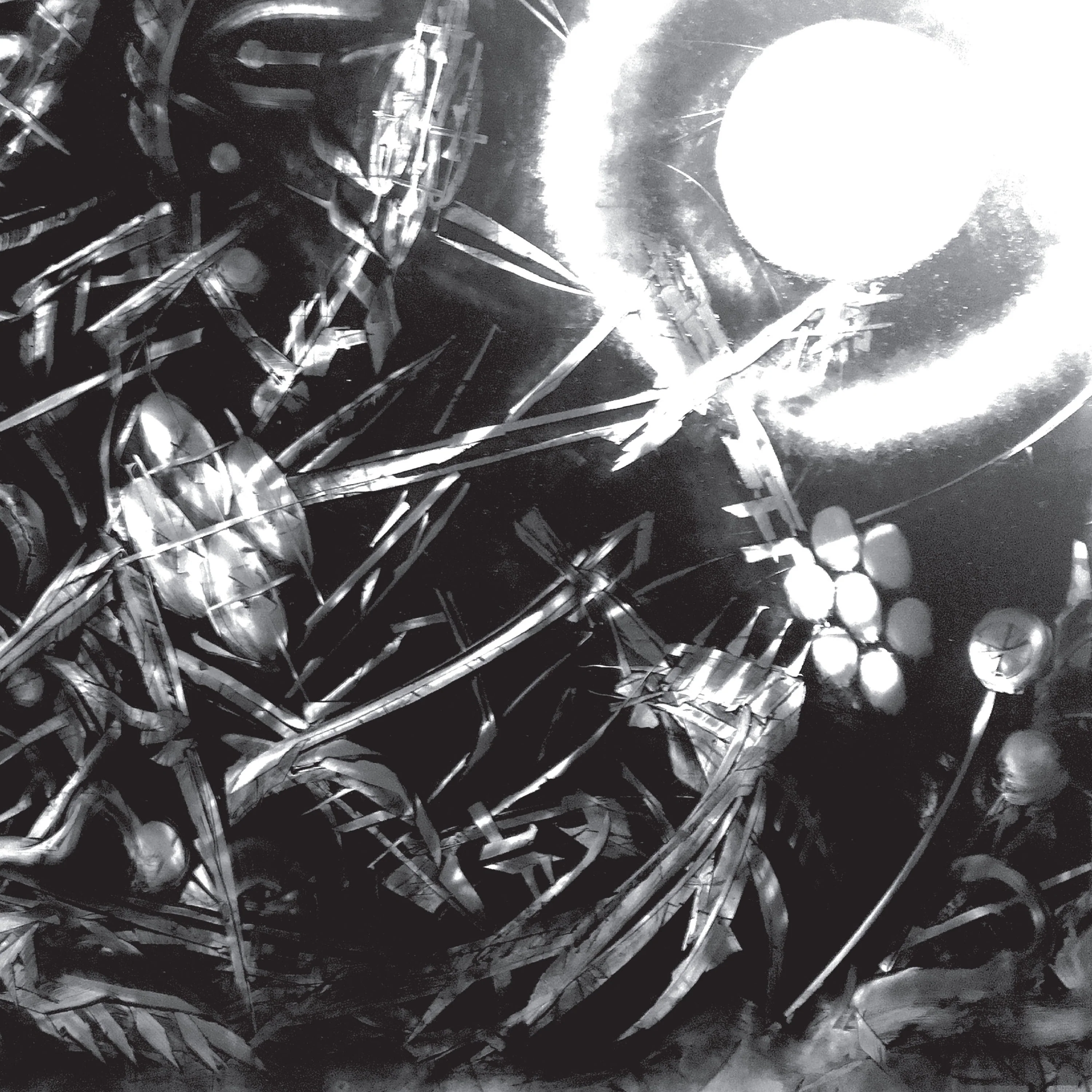 The Bug "Machine" 2x12" - Image 2
