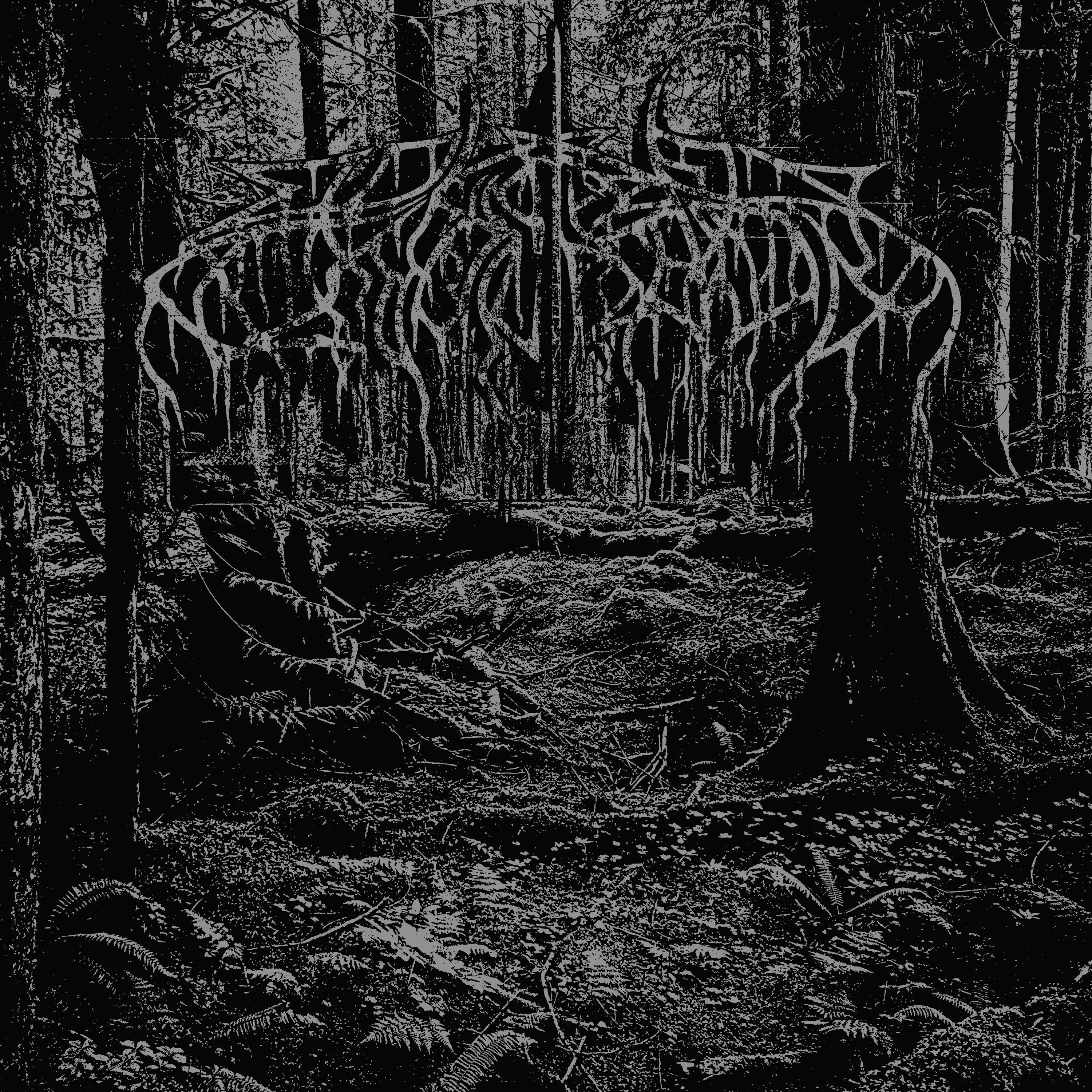 Wolves In The Throne Room "2005 Demo" 12" - Image 2