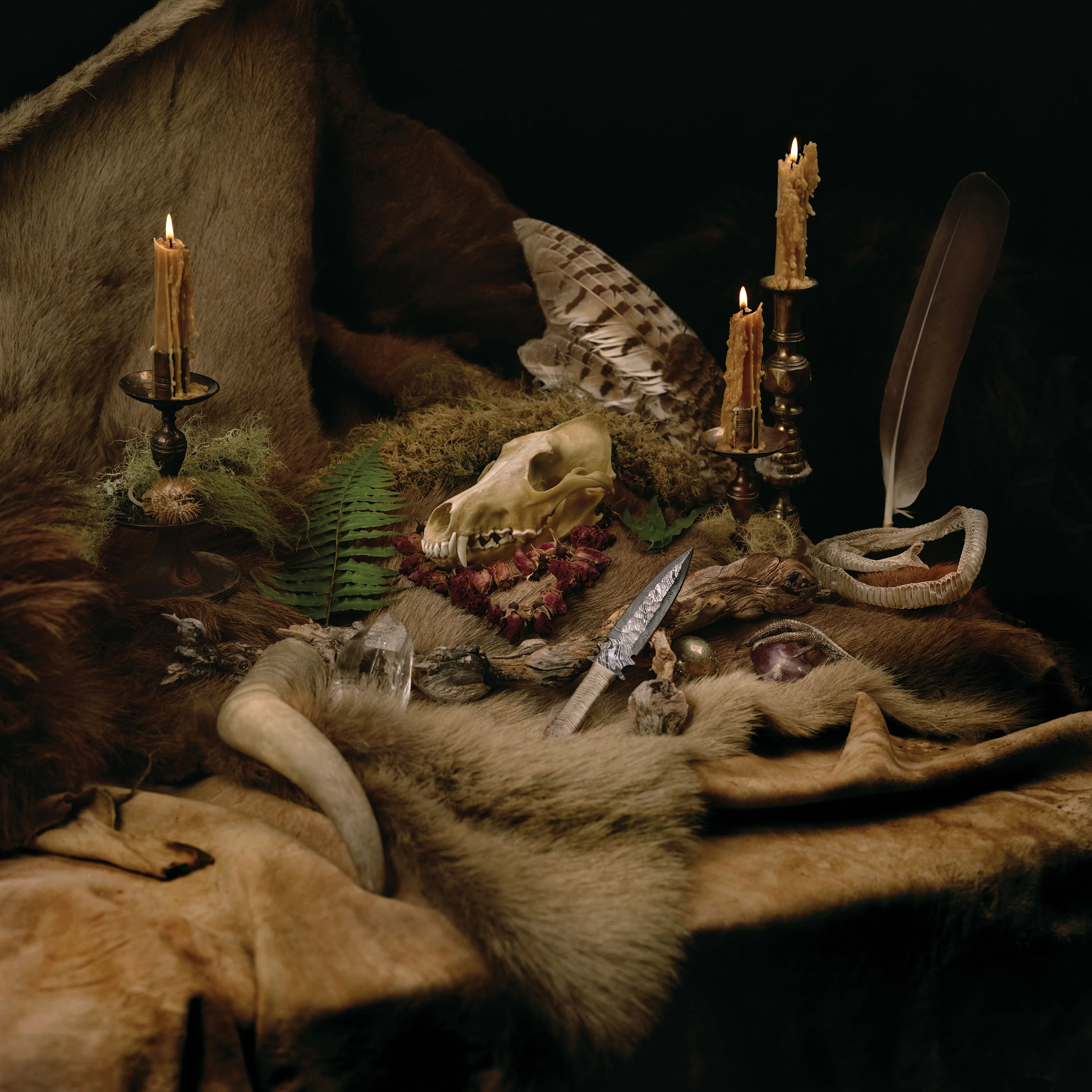 Wolves In The Throne Room "Primordial Arcana" CD - Image 2